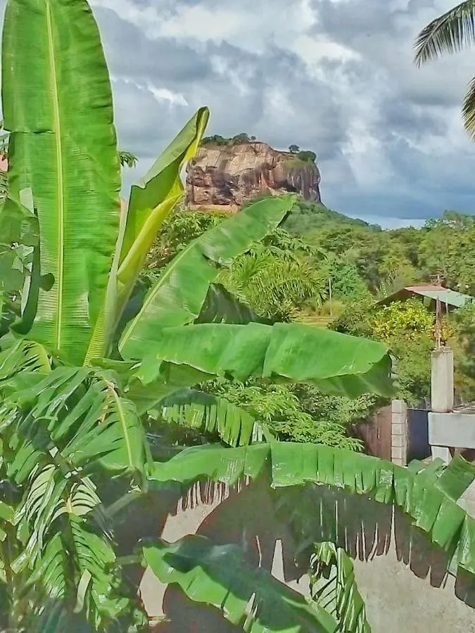 Rithu Homestay Sigiriya Sri Lanka